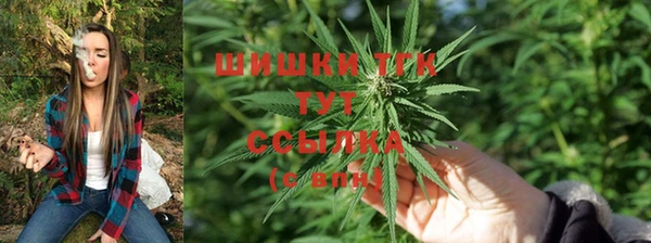 гашик Верхний Тагил