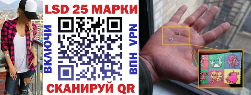 дарк нет как зайти  Вышний Волочёк  Марки 25I-NBOMe 1,5мг 